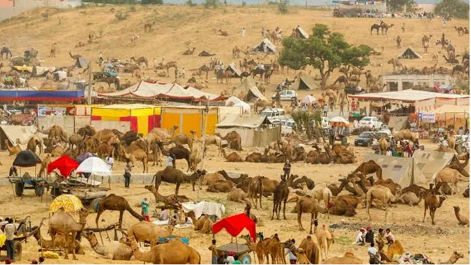 Pushkar Camel Fair